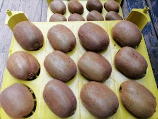 Wysokiej jakości Kiwi wyselekcjonowane z najlepszych farm na północy
