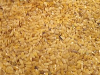 Sprzedam len złoty (Jantarol) żniwa 2021. Pakowane w worki