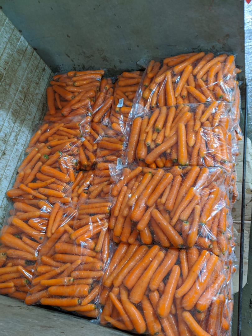 Sprzedajemy marchew świeżą I klasy pakowaną w worki foliowe 5kg