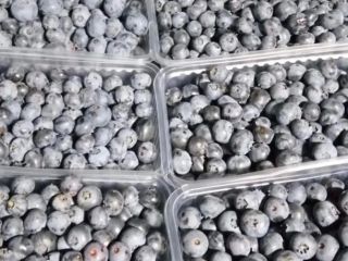 W Gruzji panuje bardzo sprzyjający klimat, który pozwala na