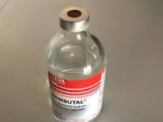 Kup pentobarbital Nembutal Online ( E-mail: ( ) Gdzie