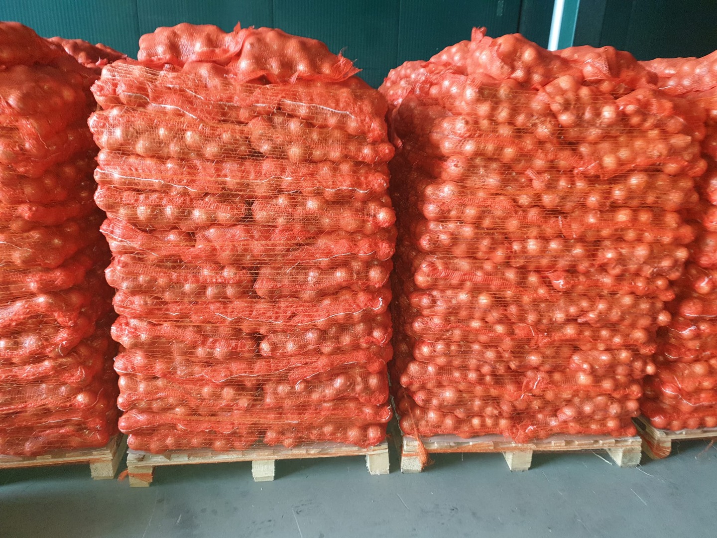 CEBULKA jakość premium --- EKSPORT Informacje pod numerem Viber, Whatsapp
