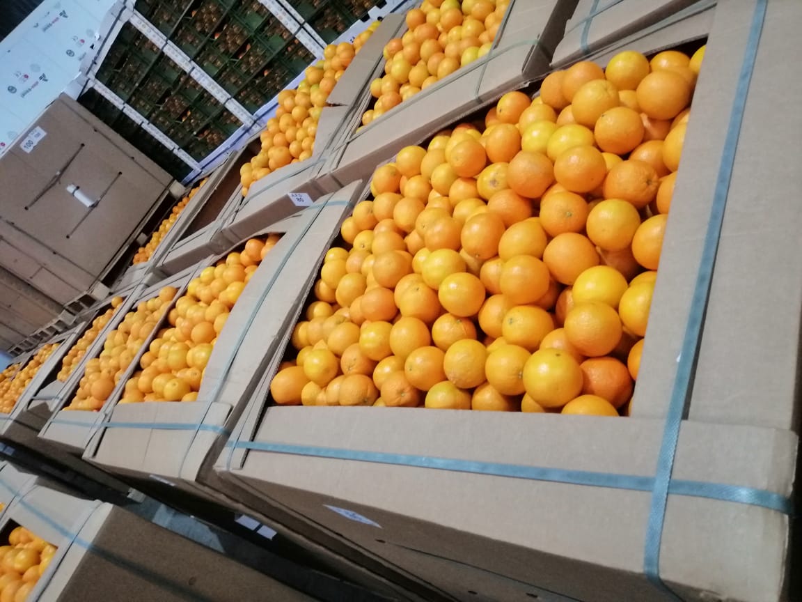 ***Binz Pakowanie ***Valencia pomarańcza do wyciskania i przetwarzania ***Brix+10 600kg*40 binz*20 palet (24 tony) ***Ceny specjalne ***Świeże: Truskawka