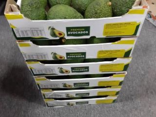 Witam, hass, fuerte avacado Dostępne w dobrej cenie Cena