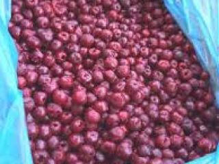 Wiśnie bez pestek mrożone, opakowanie 10 kg, karton. Pochodzenie