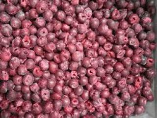 MROŻONA WIŚNIA S/K (z pestkami), opakowanie 10 kg, karton.