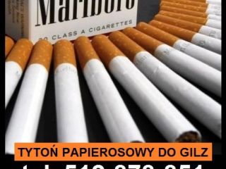 Mam na sprzedaż Tyt0n papiero$owy pakowany w worki strunowe