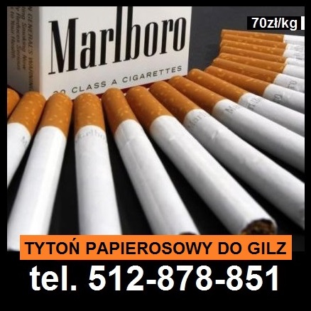 Mam na sprzedaż Tyt0n papiero$owy pakowany w worki strunowe po kilogram w cenie 70zł/kilogram + 25zł wysylka kurierem platnosc przy odbiorze