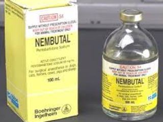 Kup Nembutal online.. / Best of Nembutal (Pentobarbital Sodium),