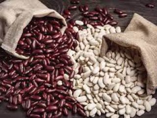 Sprzedaż hurtowa fasoli w asortymencie. Bins Natur Produkt oferuje