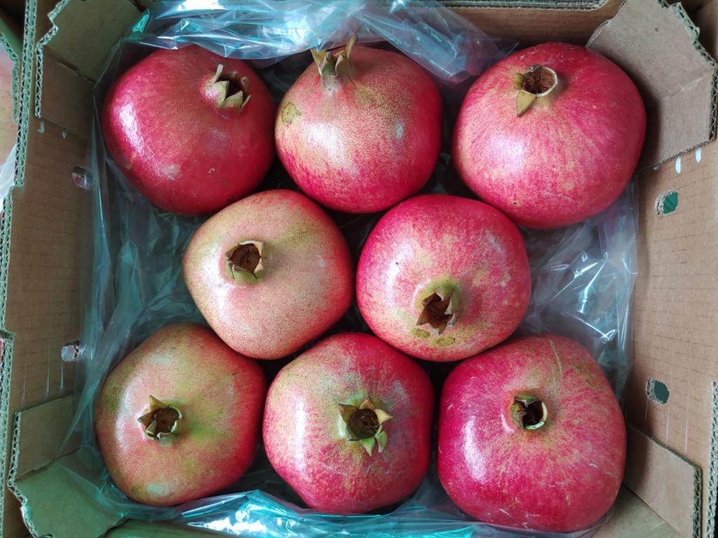 Cudowny granat z Peru Kaliber: 9 - 18 Opakowania: 3,8kg, 5kg