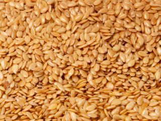 Grupa firm "ExportGrain" eksportuje siemię lniane pochodzenia Kazachstan, FCA