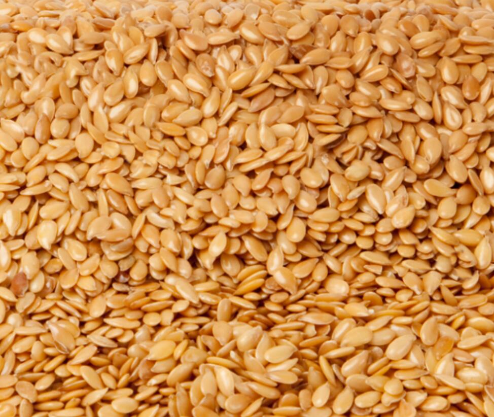 Grupa firm "ExportGrain" eksportuje siemię lniane pochodzenia Kazachstan, FCA Kazachstan