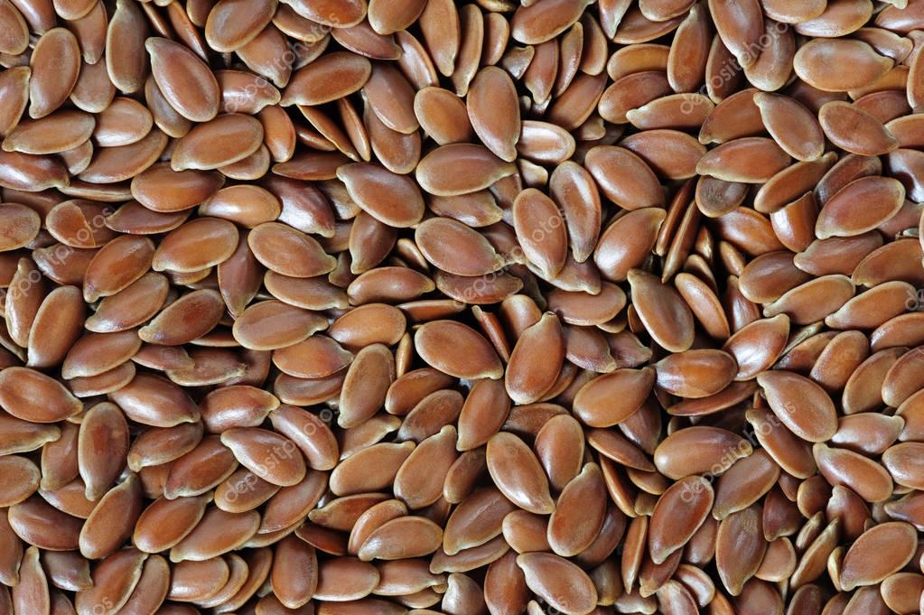 Grupa firm "ExportGrain" eksportuje siemię lniane, pochodzenie Kazachstan, FCA Kazachstan