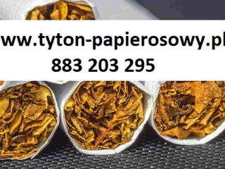 Tani tytoń papierosowy 70zł/kg Zapraszamy do naszego sklepu