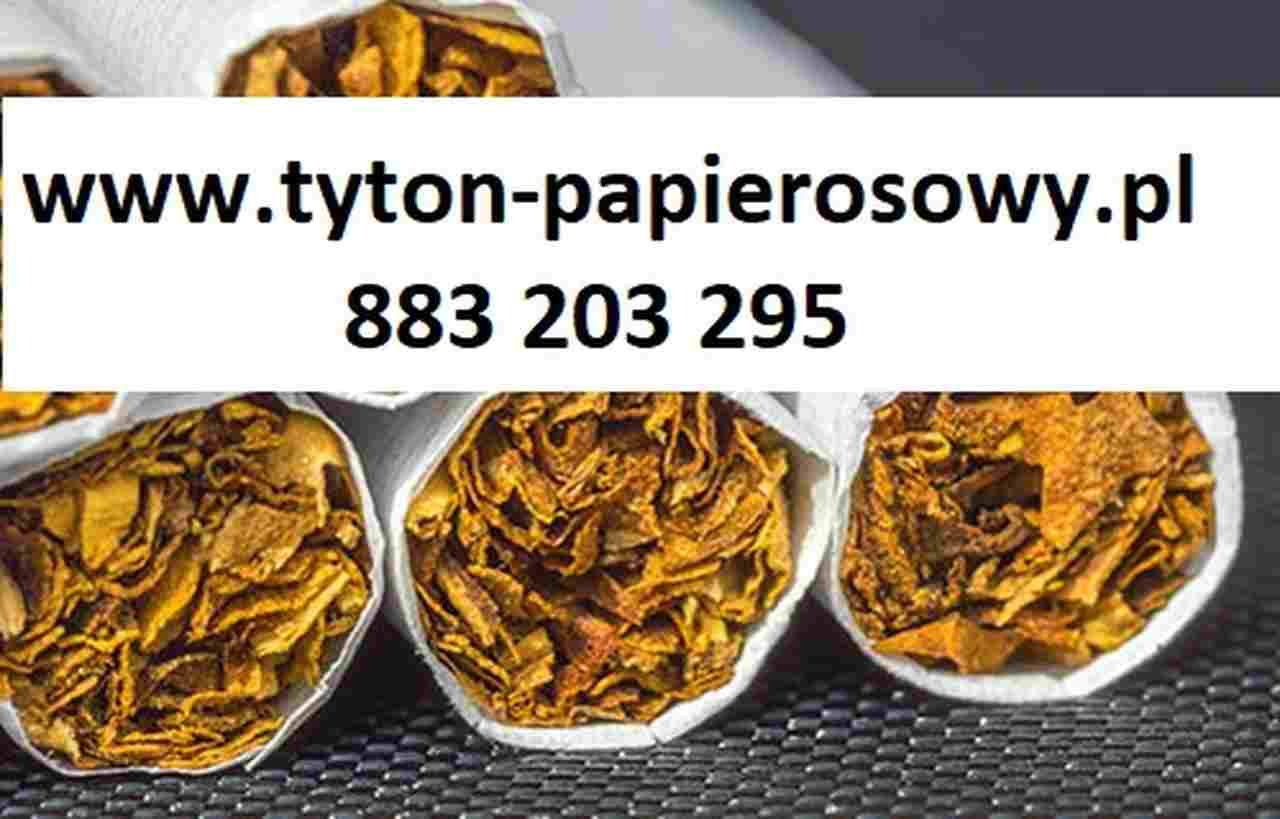 Tani tytoń papierosowy 70zł/kg Zapraszamy do naszego sklepu