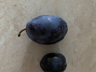 Stanley Plum Bezpośrednio od producenta sprzedajemy duże ilości odmian