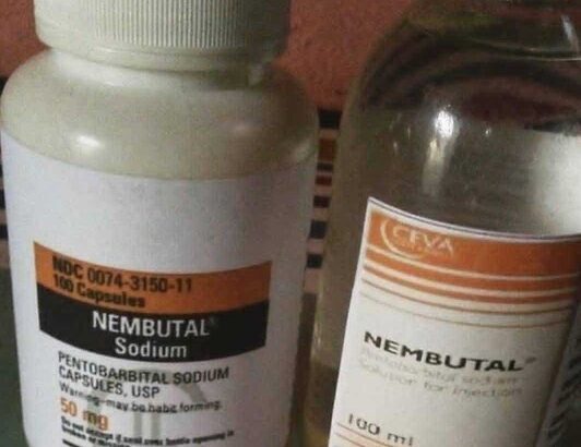 Kup Nembutal, Kup Pentobarbital Sodium Online Nembutal należy do klasy barbituranów i działa jako środek depresyjny lub uspokajający