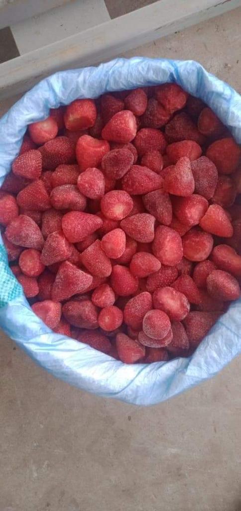 Świetna cena...............IQF Truskawki Odmiana: fortuna i festiwal Rozmiar 15-35 Opakowanie: Karton 10 kg Klasa 1