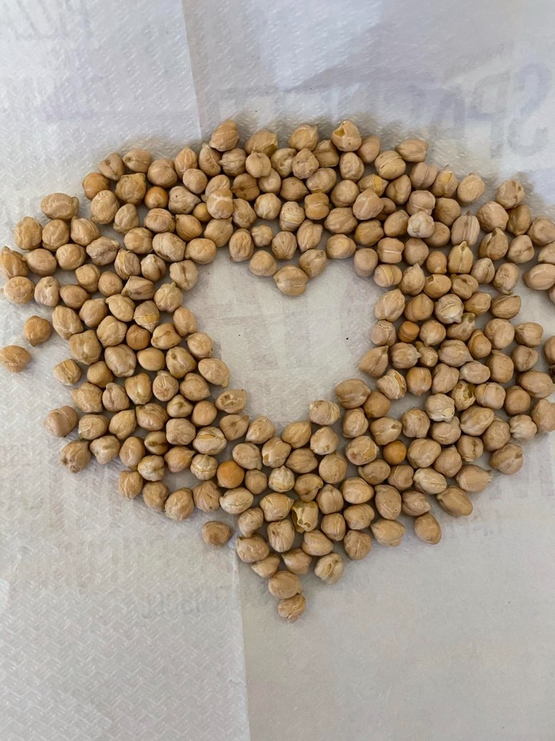 Sprzedam ciecierzycę +9