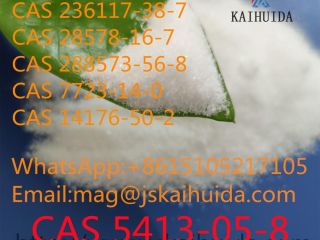 5413-05-8 2-FENYLACETOOCTAN ETYLU