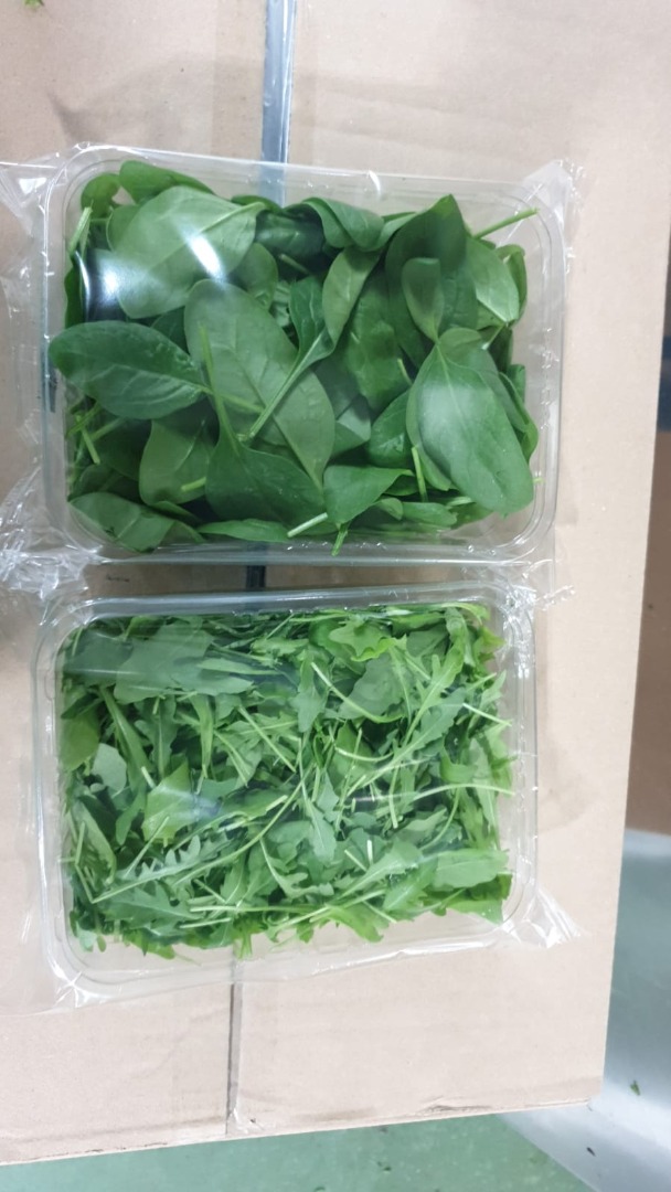Witam ! Włoska firma może zaproponować na takie produkty rukolę, szpinak, boćwinę