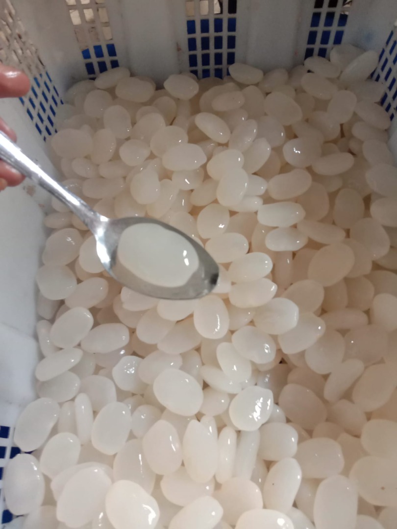 Jestem sadownikiem kolang kaling, szukam kupca owoców kolang kaling, który jest gotowy przyjąć moje produkty rolne na eksport