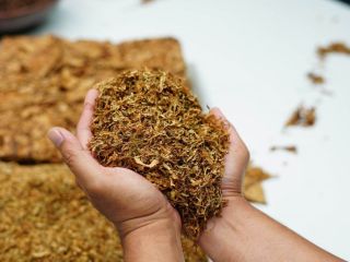 1kg 65 Powyżej 5 kg kilo gratis Tytoń Virginia