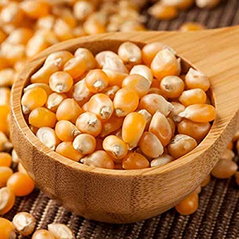 GMO i Non GMO Yellow Corn Grade A Pochodzenie: Brazylia Wilgotność