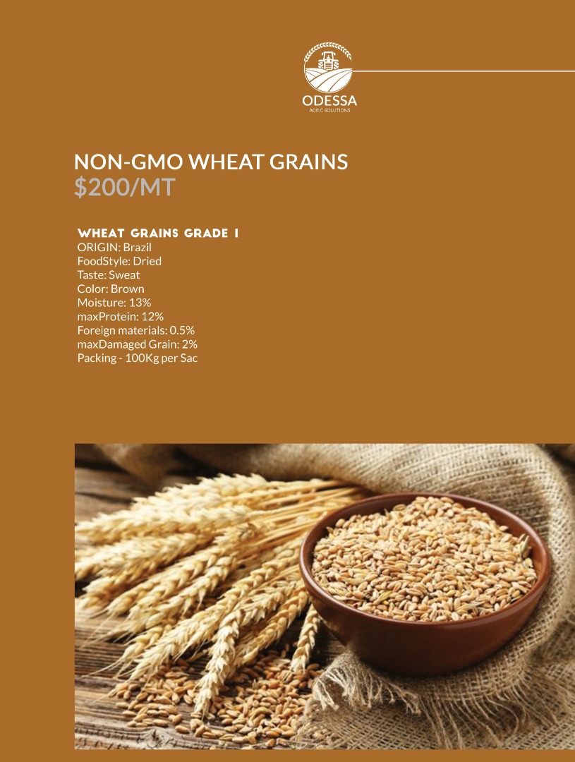Pszenica GMO i Non GMO Grade A Pochodzenie: USA Wilgotność