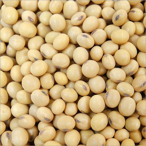 Ziarna soi GMO i Non GMO Grade A Pochodzenie: Wilgotność Brazylii