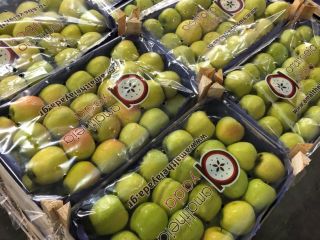 Dostępne Golden Delicious - I klasa, każdy rodzaj opakowania
