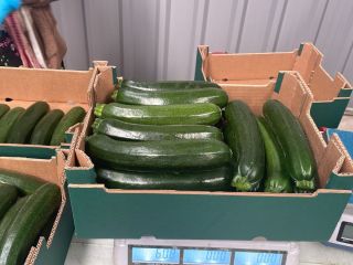 Cukinia ekologiczna Pochodzenie: Hiszpania Kalibracja: 14/21 Paleta: 720 kg