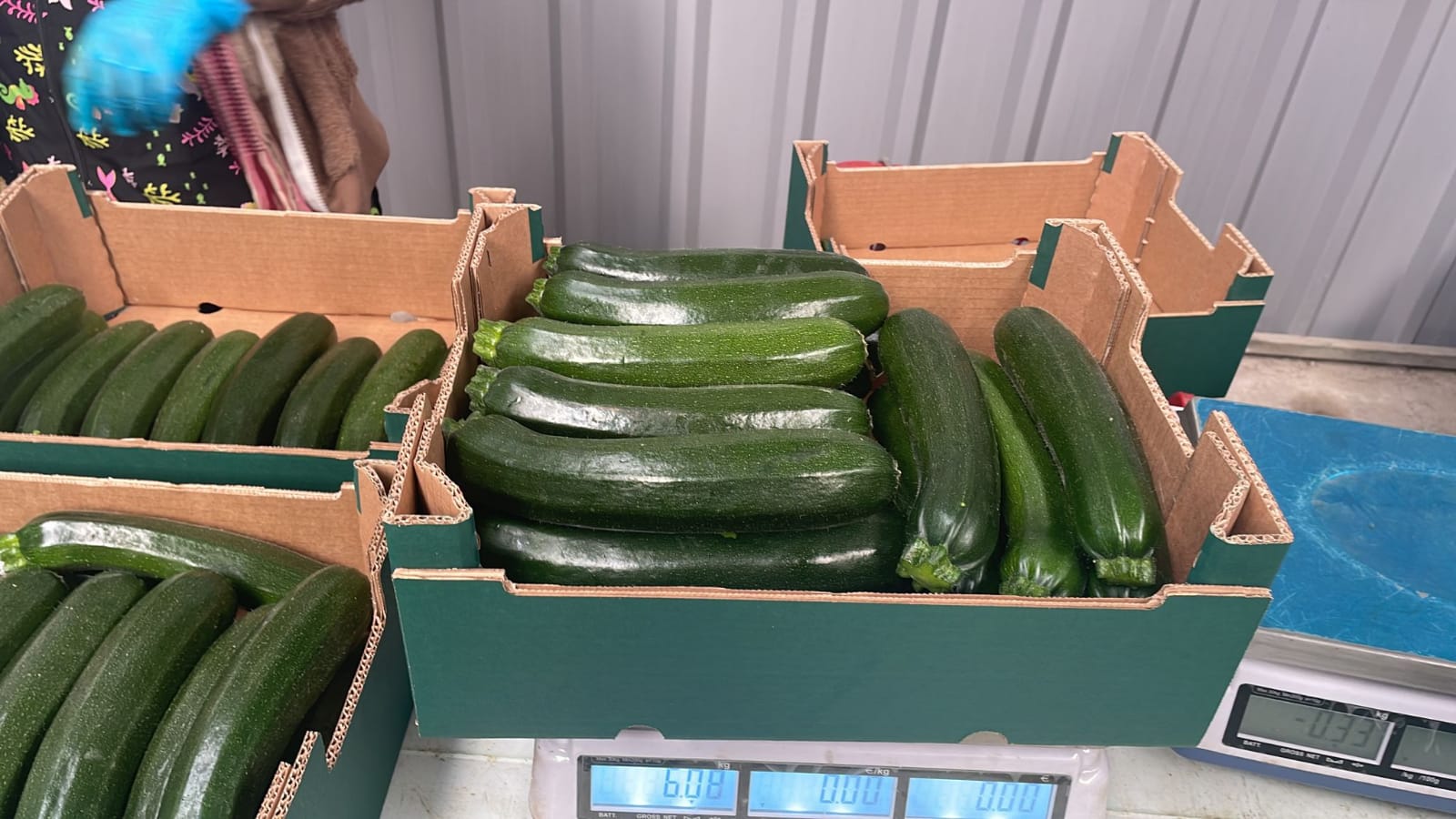 Cukinia ekologiczna Pochodzenie: Hiszpania Kalibracja: 14/21 Paleta: 720 kg Dostępność: codziennie Dostawa: DE, AT, IT Cena zawiera dostawę w AT