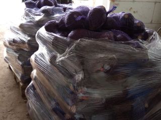 Sprzedam kapustę czerwona z chłodni 1-3 kg