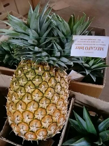 Najlepszy ananas z Kamerunu