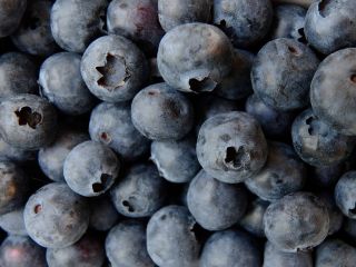 Nawiążę współprace z producentami borówki amerykańskiej