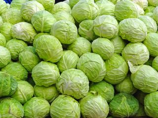 Lokalizacja : Turcja min. Purc. Popr. : 2000 kg