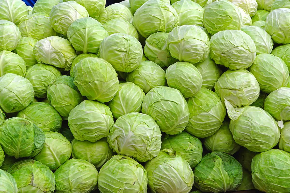 Lokalizacja : Turcja min