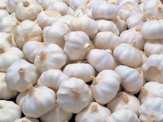 Lokalizacja : Turcja min. Purc. Popr. : 2000 kg