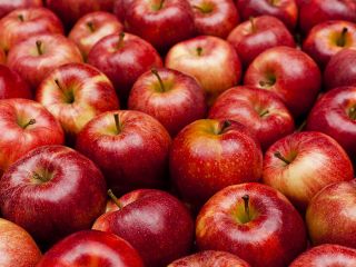 Kolor: czerwony min. Purc. Waga: 2000 kg Lokalizacja: Amasya