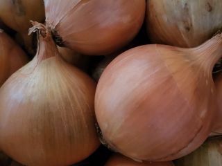 Cebula żółta kaliber 4-7.