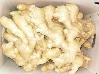 Rozmiary: 100-150g,150-250g,250g, 300g lub więcej. Zgodnie z wymaganiami kupujących