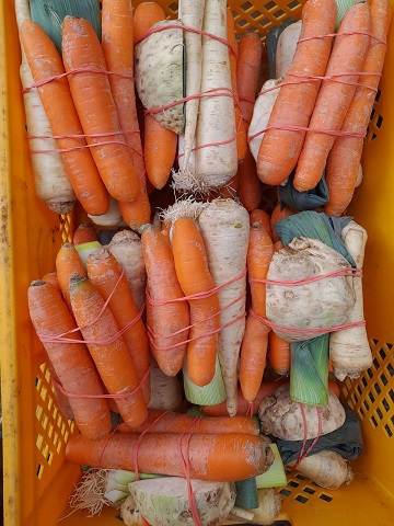Włoszczyzna świeża 1kg