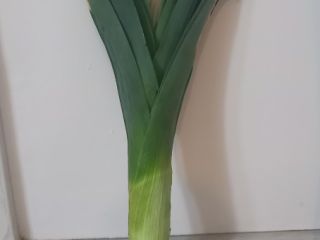 Sprzedam por prosto z pola gruby . kontakt