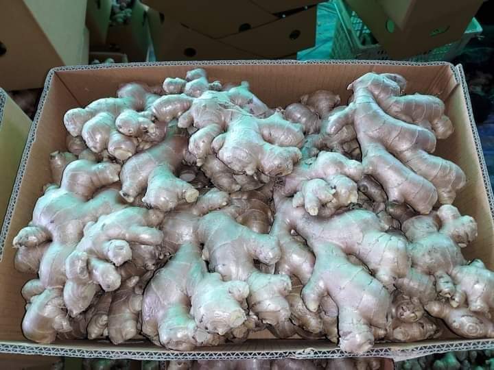 Świeży imbir teraz w sklepie w Wielkiej Brytanii Jeśli chcesz kupić lub zobaczyć produkt, skontaktuj się ze mną