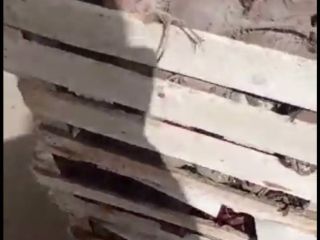Sprzedam buraki hurtowo w dużych ilościach Vladyslav