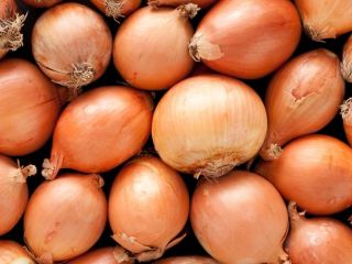Żółta cebula Nazwa produktu Cebula Czerwona, Cebula ŻółtaKraj Pochodzenia: