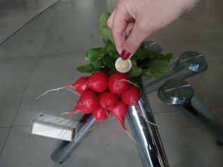 Sprzedam rzodkiewke Valerie, własnej produkcji. Cena za Pęczek 2