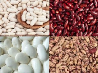 Fasola Natur Product zajmuje się sprzedażą wysokiej jakości ziaren